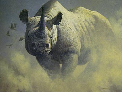 Dustin' Up - Rhino - painting by Adrian Rigby