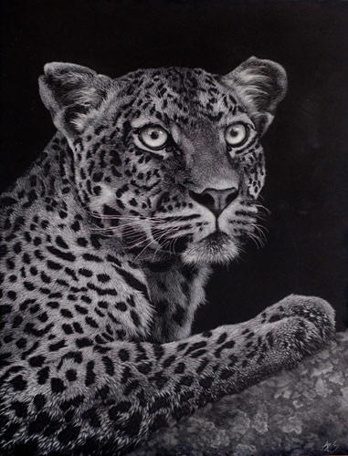 Tension - Wildlife Art by Amy L. Stauffer