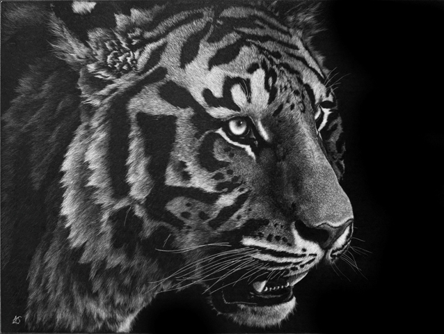 The Hunter - Wildlife Art by Amy L. Stauffer