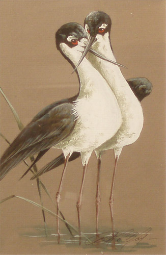 Black Neck Stilts water color  by Art LaMay