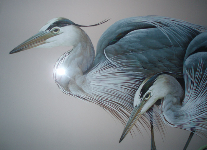 Pair Great Blue Herons Watercolor by Art LaMay