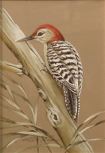Red Bellied Woodpecker Watercolor by Art LaMay