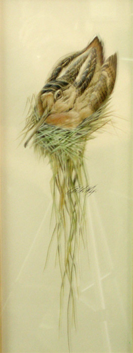 Wood Cock water color  by Art LaMay