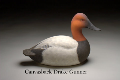 Canvasback Drake Gunner - carving by Ben Heinemann