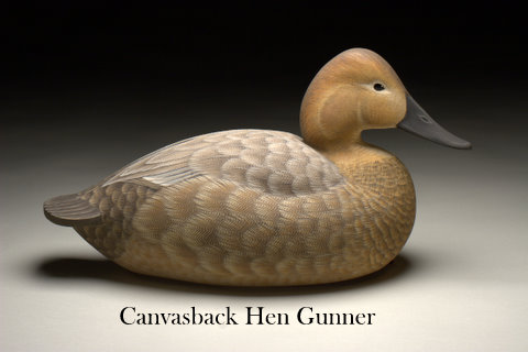 Canvasback Hen Gunner - carving by Ben Heinemann