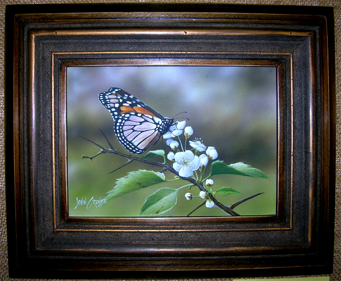 Monarch Butterfly