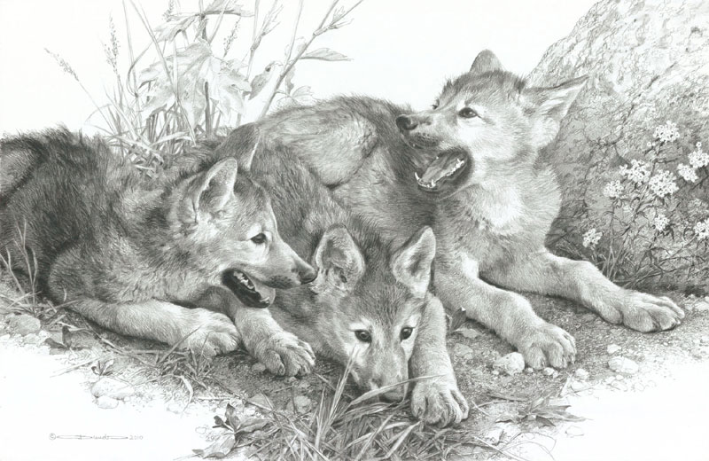 Waiting for Mom  - pencil drawing by Carl Brenders