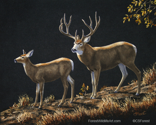 Mule Deer Ridge - painting by Crista Forest