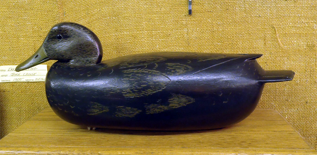 Drake  Black Duck carved by Dan English