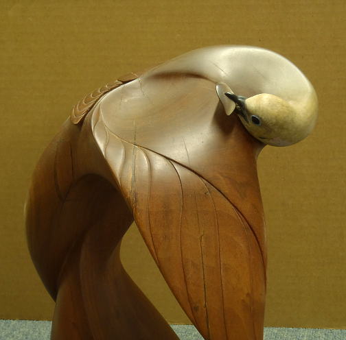 Preening Dove by Dave & Mary Ahrendt