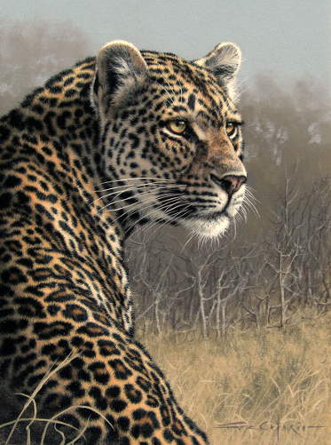 Croc River Leopard -   by Fuz Cafario
