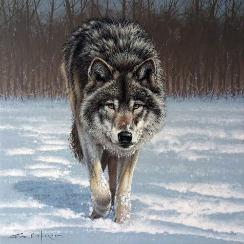 Timber Wolf  -   by Fuz Cafario