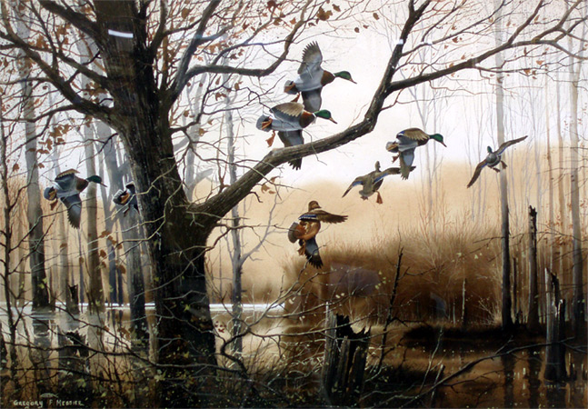 Morning Flight Mallards by Gregory F. Messier