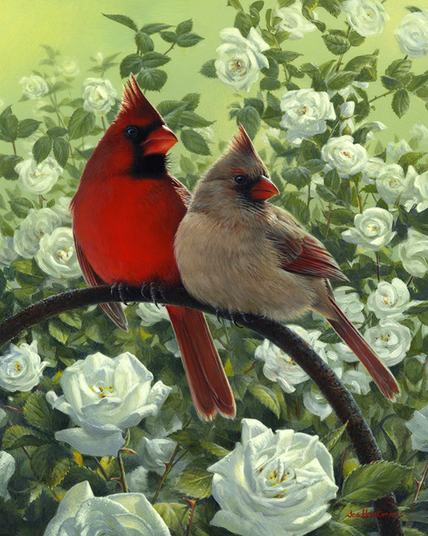 Bower Cardinals -  by Joe Hautman