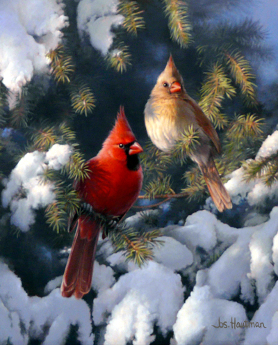 Presentation of Colors ( Cardinals)  by Joe Hautman