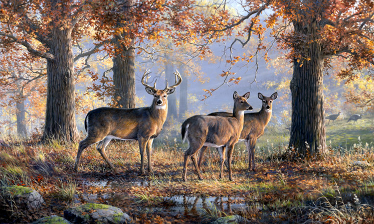 Under the Oaks -  by Joe Hautman