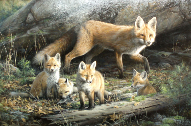 Venturing Out - Red Fox Family by Joe Hautman