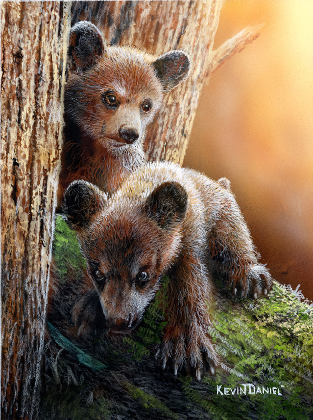Being Curious (bear cubs)  by Kevin Daniel