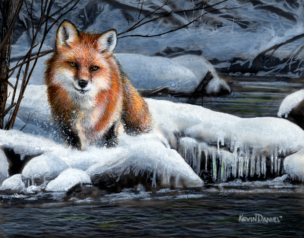 Creekside Passage (Fox by water) by Kevin Daniel