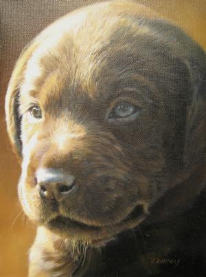 The Scholar - Puppy - by Linda Daniels
