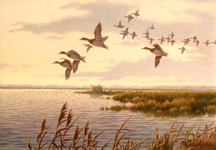 "Canvasbacks Passingl" by Rob Leslie