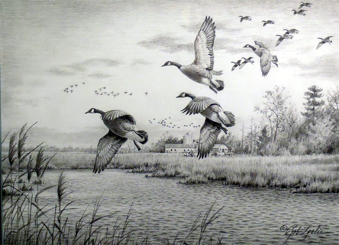 "Canadas" by Rob Leslie
