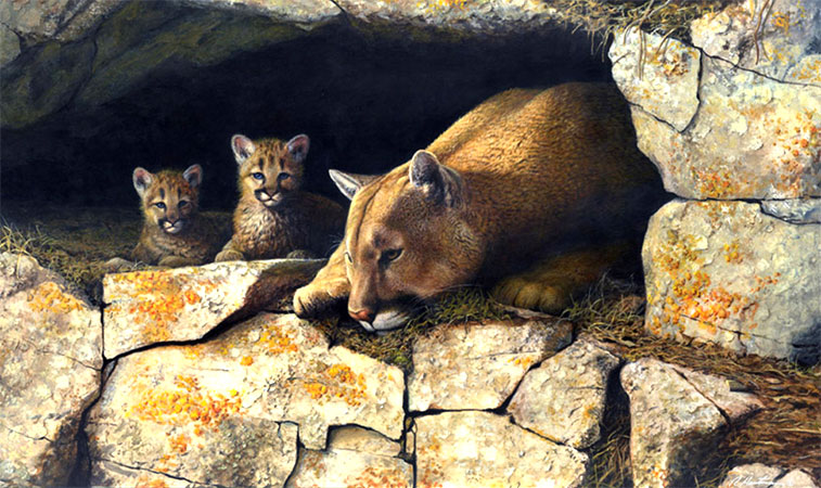 Cougar & Kits by Robert Hautman