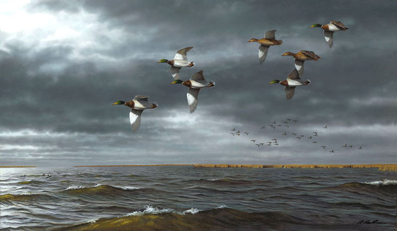 Framed Mallards by Robert Hautman