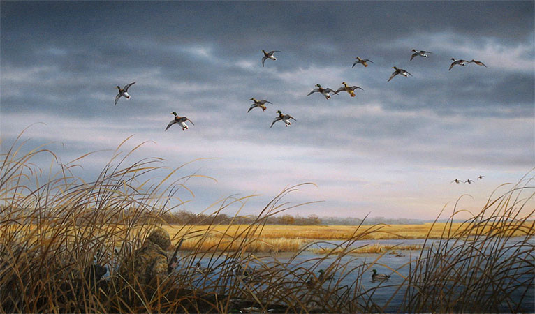 Mallards & Pintails by Robert Hautman