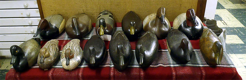 Decoys of The Collection
