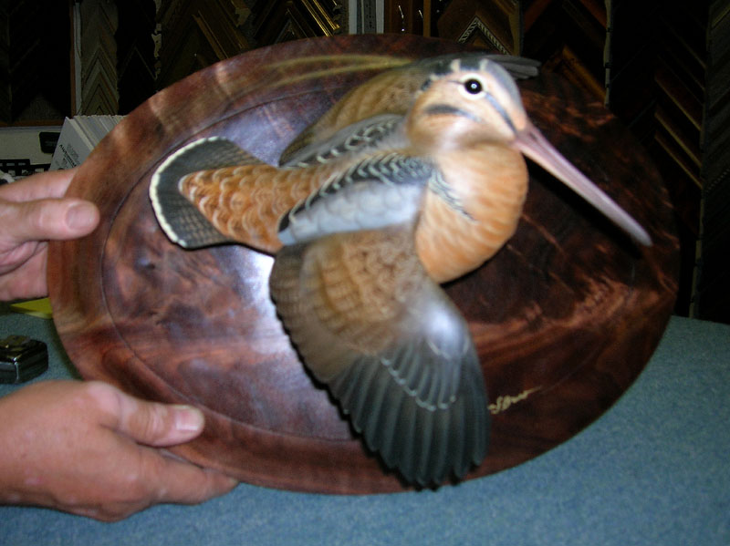 American Woodcock