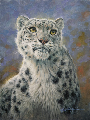 Elusive Snow Leopard - by Krystii Melaine