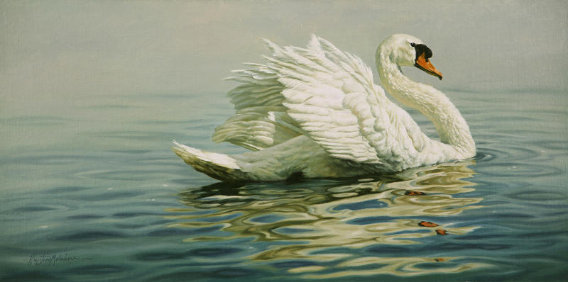 Full Sail, Mute Swan by Krystii Melaine