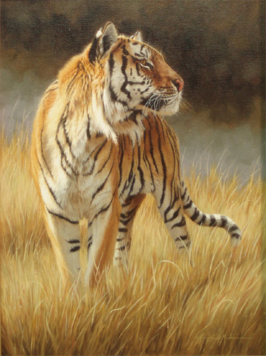A
                  Regal Pose - Tiger by Krystii Melaine