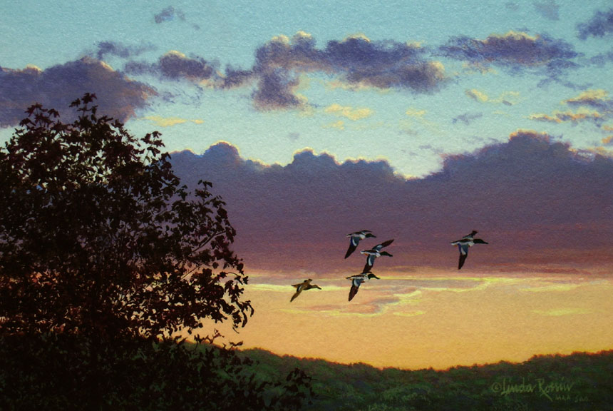 Fly By  by Linda Rossin