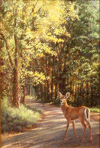 Within The Shadows by Linda Rossin