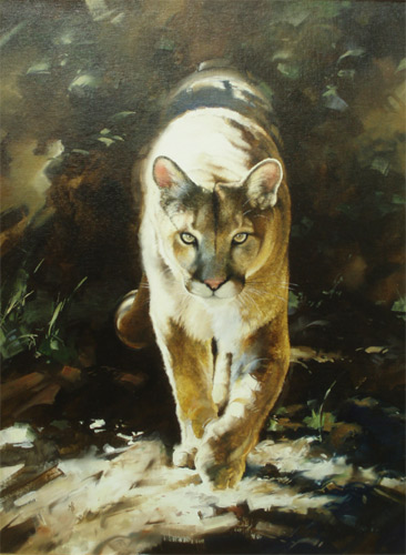 "Out of the Shadows" - Cougar - oil by Mark Kelso