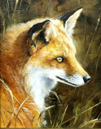 "Autumn Lady" - Red Fox - oil by Mark Kelso