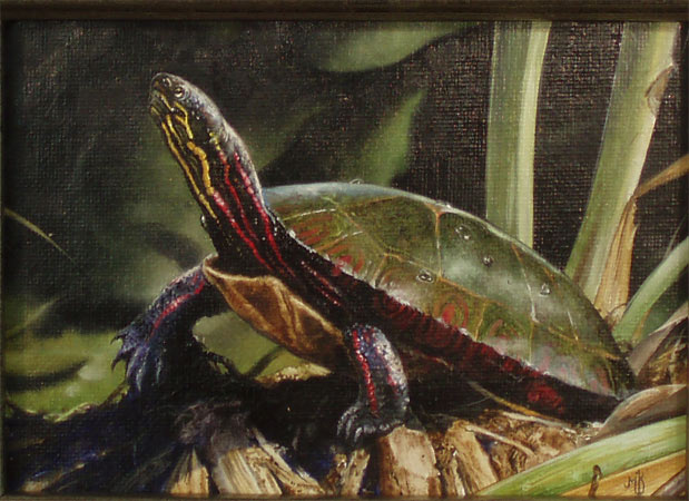 "Sunbather" - Turtle - oil by Mark Kelso