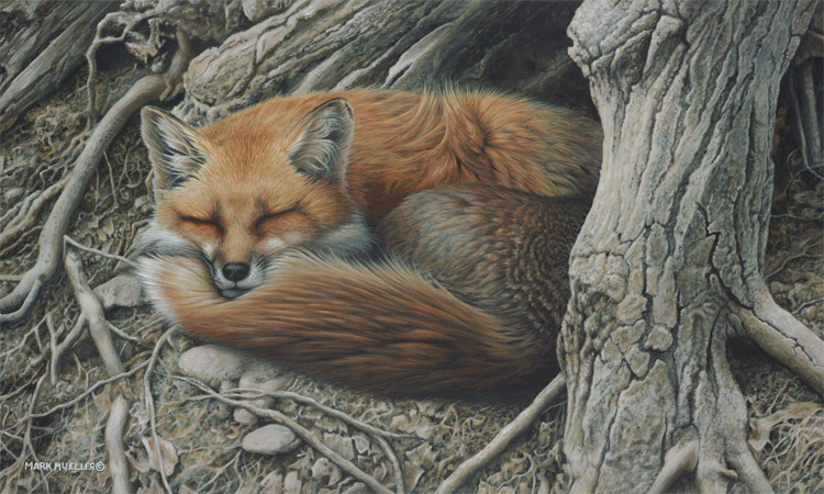 Sleepy Hollow Red Fox by Mark Mueller