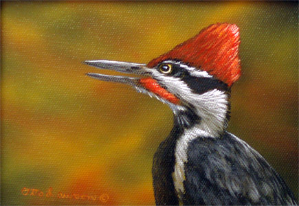 Pileated Woodpeckerl  by Otto Lawson