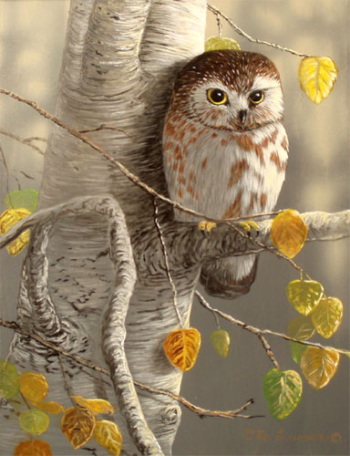 Shades of Autumn - Owl  by Otto Lawson