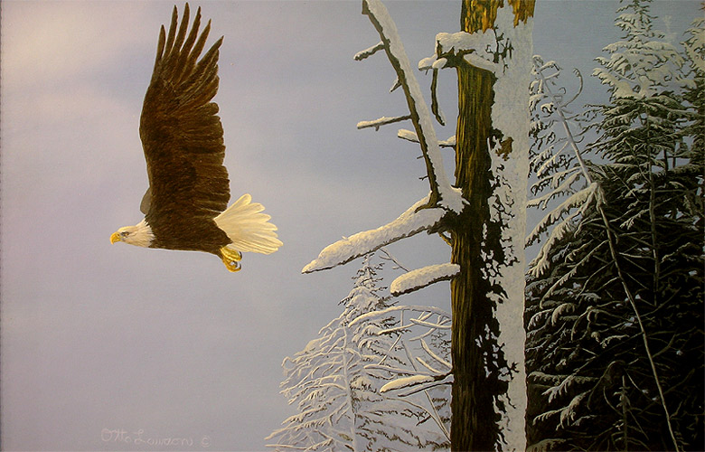 Taking Wing-Bald Eagle by Otto Lawson