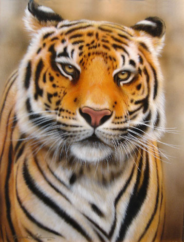 Tiger by Rebecca Latham
