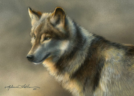Wolf by Rebecca Latham