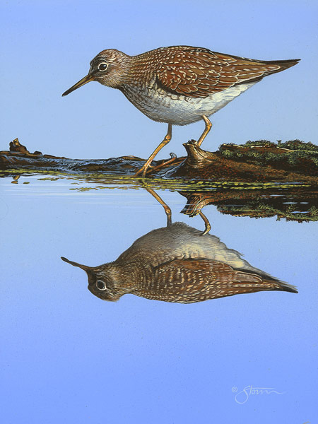 "Foraging" painting by Scot
Storm