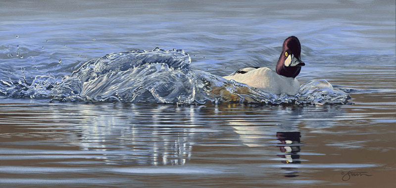 "Goldeneye Slide II" - by Scot
Storm