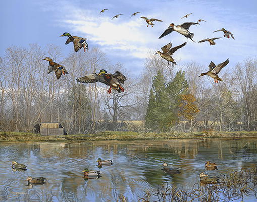 Marys Pond - No. 3 - Wildlife painting by Scot  Storm