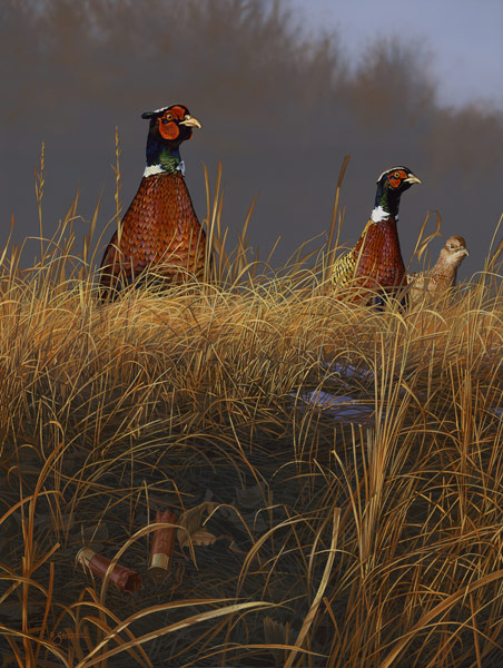 "On Alert" - Pheasants -
painting by Scot Storm