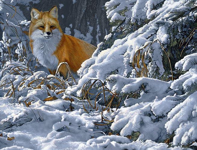 Winter Scout - Red Fox - Wildlife painting by Scot Storm